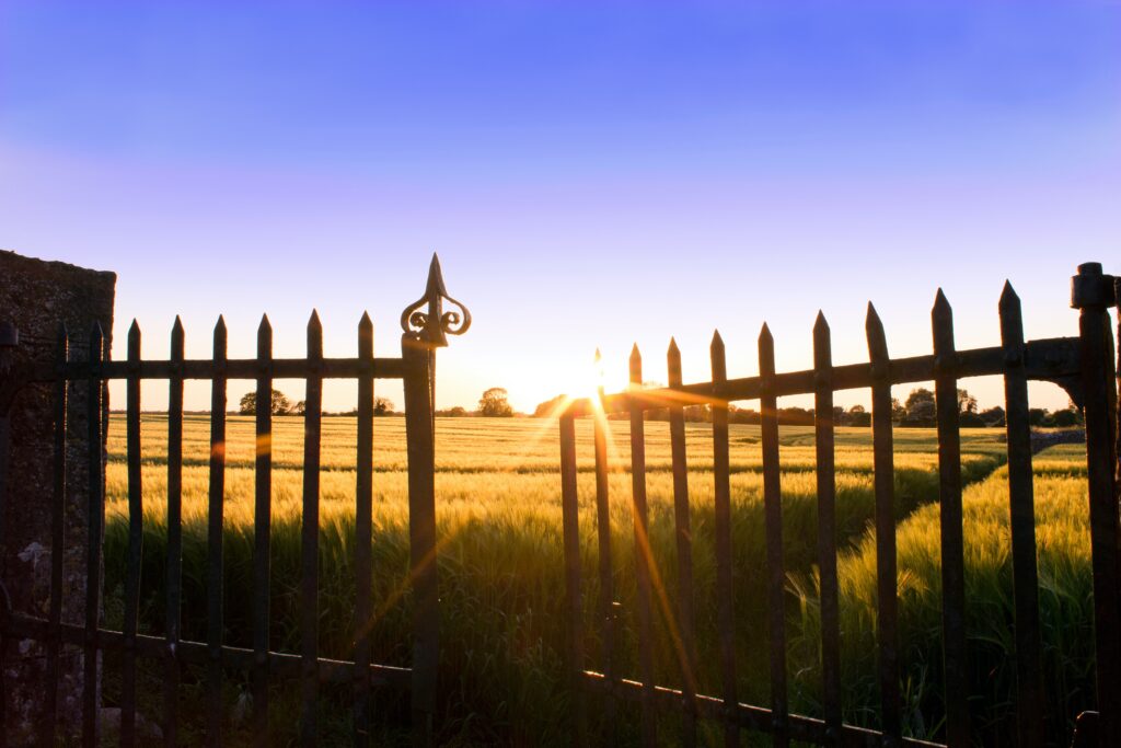 dave-mcdermott-nEJmnfCCPmI-unsplash